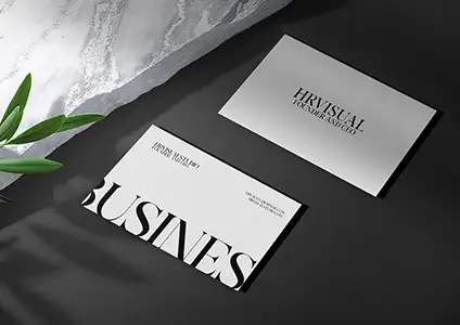 Brand Evolution Project